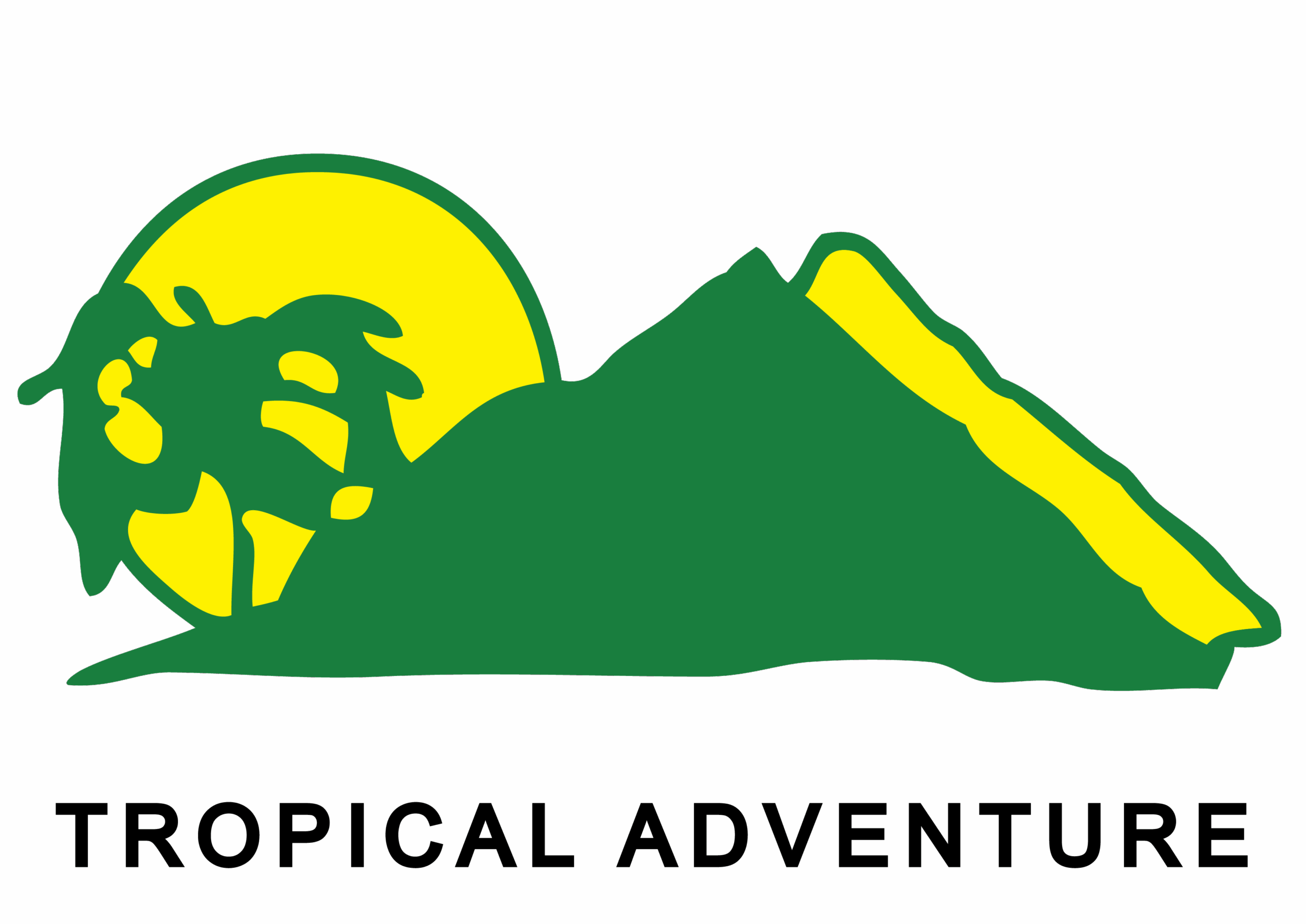 Langkawi Bus Transfer – Reliable Airport & Island Transport Service